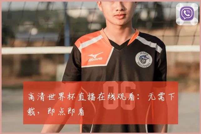 高清世界杯直播在线观看：无需下载，即点即看